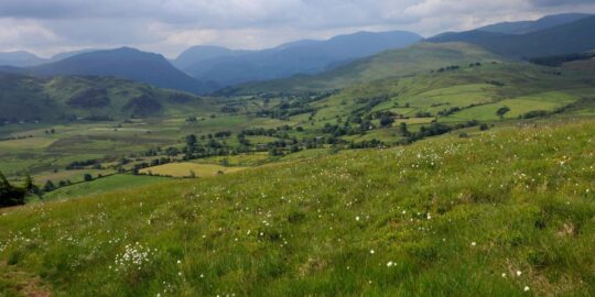 June 28: Facts & Historical Events On This Day