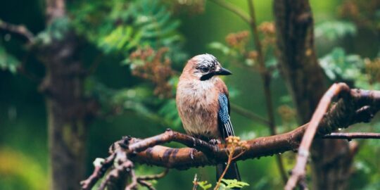 June 29: Facts & Historical Events On This Day