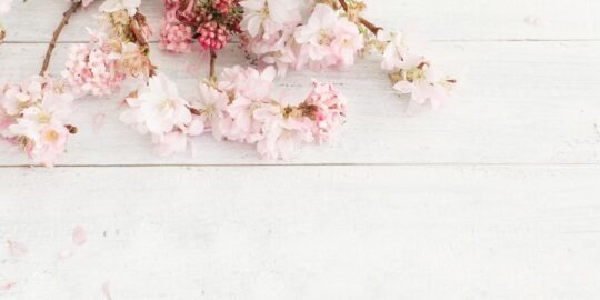 June 3: Facts & Historical Events On This Day