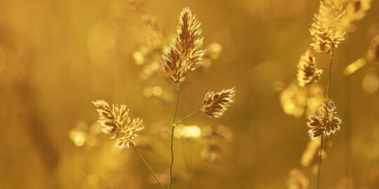 June 5: Facts & Historical Events On This Day