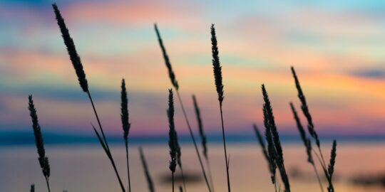 June 6: Facts & Historical Events On This Day