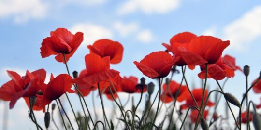 June 7: Facts & Historical Events On This Day