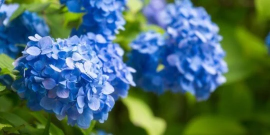 June 8: Facts & Historical Events On This Day