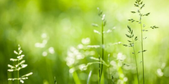 June 9: Facts & Historical Events On This Day