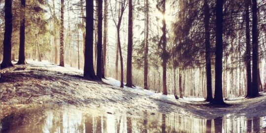 March 1: Facts & Historical Events On This Day