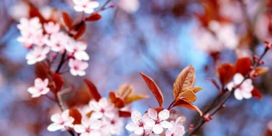 March 10: Facts & Historical Events On This Day