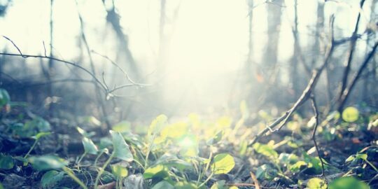 March 14: Facts & Historical Events On This Day