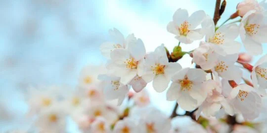 March 15: Facts & Historical Events On This Day