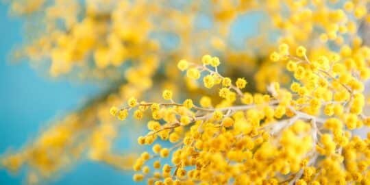 March 16: Facts & Historical Events On This Day