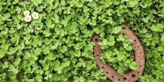 March 17: Facts & Historical Events On This Day