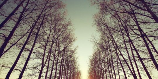 March 2: Facts & Historical Events On This Day