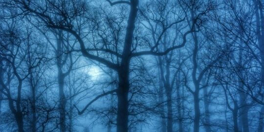 March 3: Facts & Historical Events On This Day