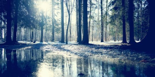 March 4: Facts & Historical Events On This Day