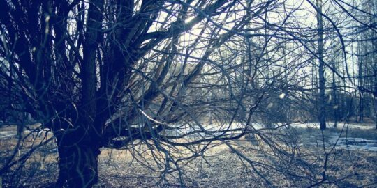 March 5: Facts & Historical Events On This Day