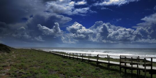 May 1: Facts & Historical Events On This Day