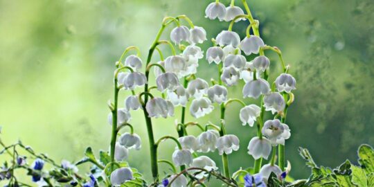 May 10: Facts & Historical Events On This Day