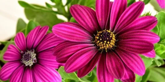 May 11: Facts & Historical Events On This Day