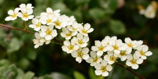 May 12: Facts & Historical Events On This Day