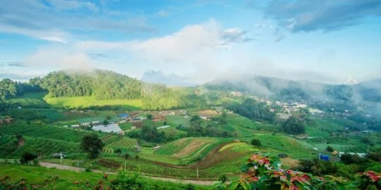 May 14: Facts & Historical Events On This Day