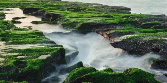 May 19: Facts & Historical Events On This Day