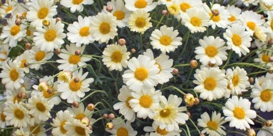 May 2: Facts & Historical Events On This Day