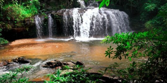 May 21: Facts & Historical Events On This Day