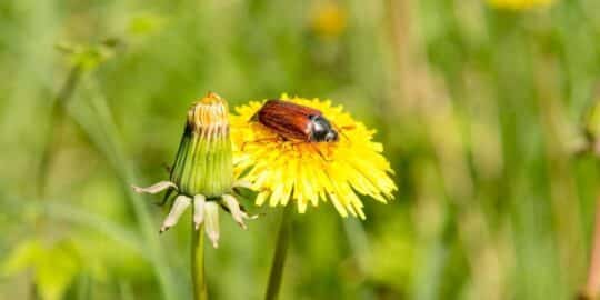 May 22: Facts & Historical Events On This Day