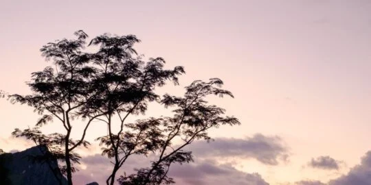 May 24: Facts & Historical Events On This Day