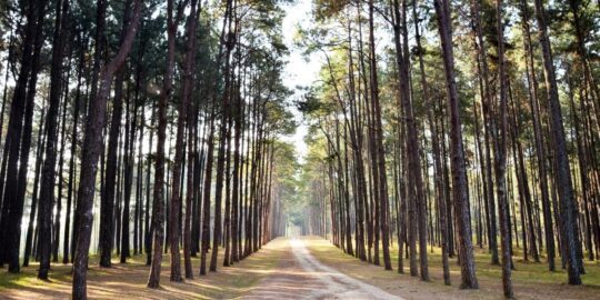 May 27: Facts & Historical Events On This Day