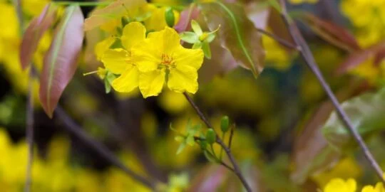 May 29: Facts & Historical Events On This Day