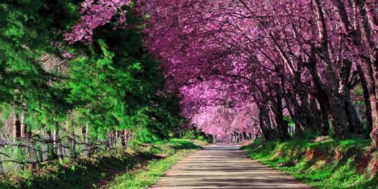 May 3: Facts & Historical Events On This Day