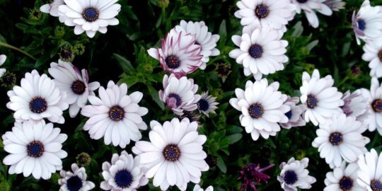 May 4: Facts & Historical Events On This Day