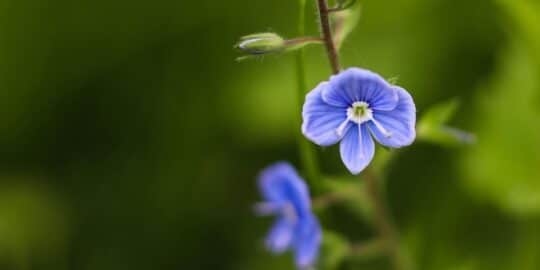 May 6: Facts & Historical Events On This Day