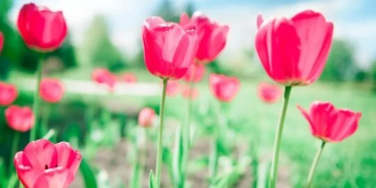 May 7: Facts & Historical Events On This Day