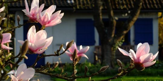 May 8: Facts & Historical Events On This Day