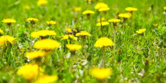 May 9: Facts & Historical Events On This Day