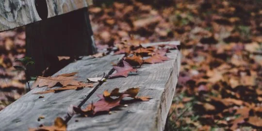 November 1: Facts & Historical Events On This Day