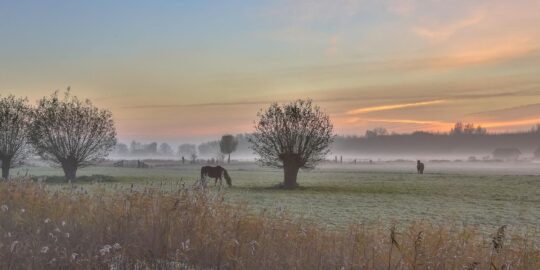 November 10: Facts & Historical Events On This Day