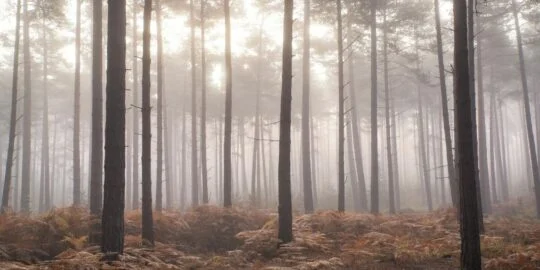 November 13: Facts & Historical Events On This Day