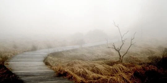 November 14: Facts & Historical Events On This Day