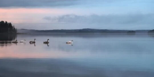 November 16: Facts & Historical Events On This Day