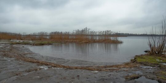 November 17: Facts & Historical Events On This Day