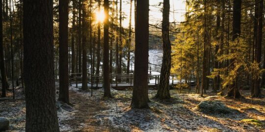 November 18: Facts & Historical Events On This Day