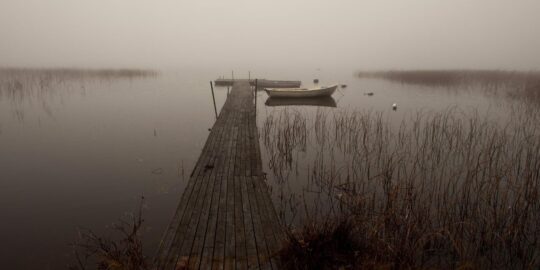 November 22: Facts & Historical Events On This Day