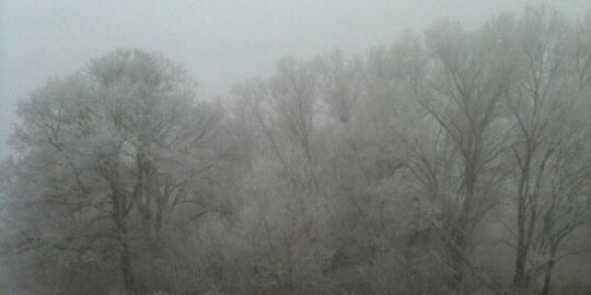 November 24: Facts & Historical Events On This Day