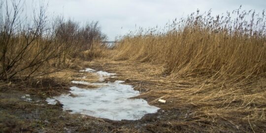 November 29: Facts & Historical Events On This Day