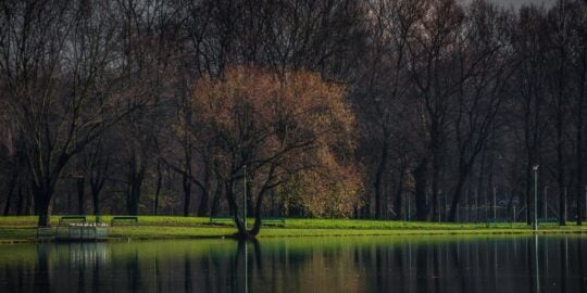 November 4: Facts & Historical Events On This Day