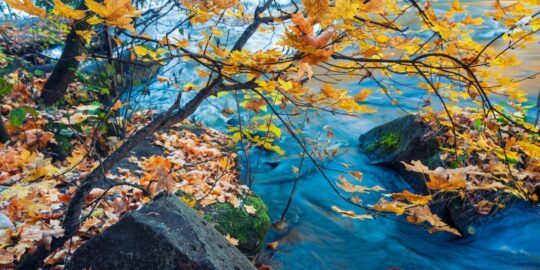 November 5: Facts & Historical Events On This Day