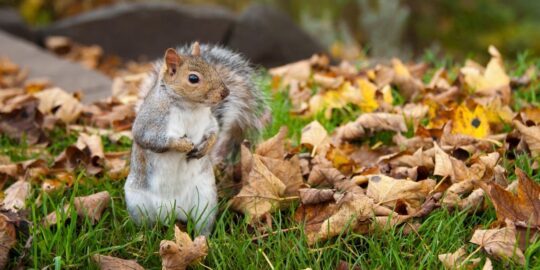 November 6: Facts & Historical Events On This Day