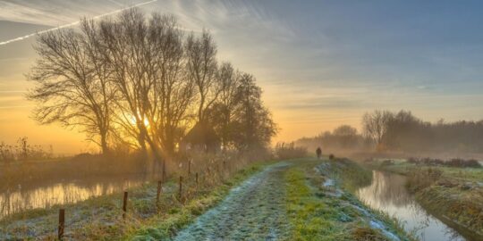 November 7: Facts & Historical Events On This Day